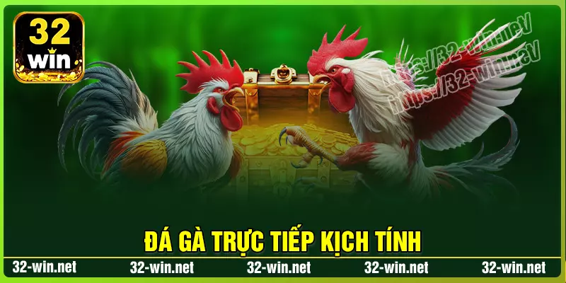 Đặt cược những chiến kê dũng mãnh cùng 32win Đặt cược những chiến kê dũng mãnh cùng 32win