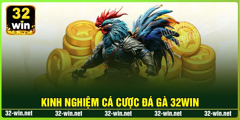 Kinh nghiệm cá cược Đá gà hay từ cao thủ Kinh nghiệm cá cược Đá gà hay từ cao thủ