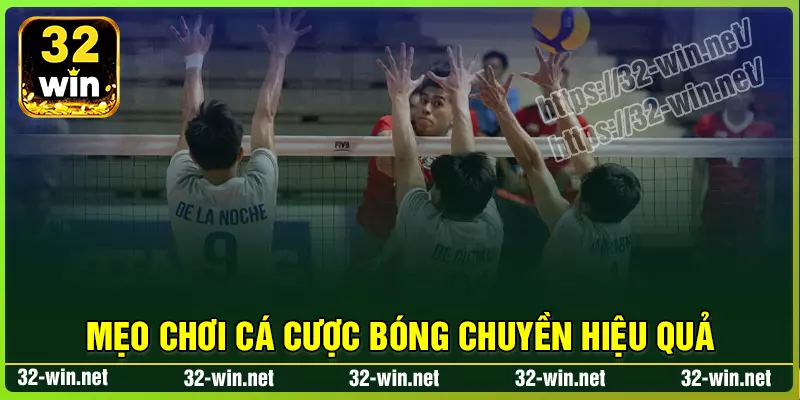 Kinh nghiệm cá cược bóng chuyền 32win hiệu quả Kinh nghiệm cá cược bóng chuyền 32win hiệu quả