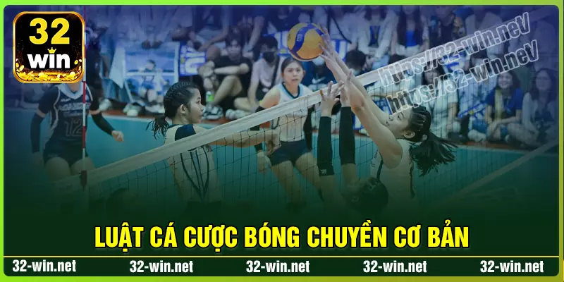 Luật chơi cá cược bóng chuyền 32win cho người mới Luật chơi cá cược bóng chuyền 32win cho người mới